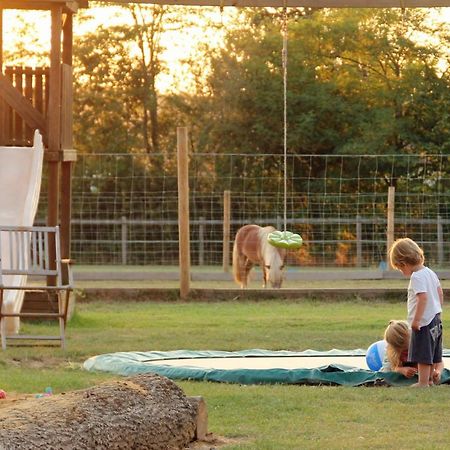 Domaine Ramonjavel, Glamping & Alpaca'S Bed & Breakfast Fongrave Exterior photo