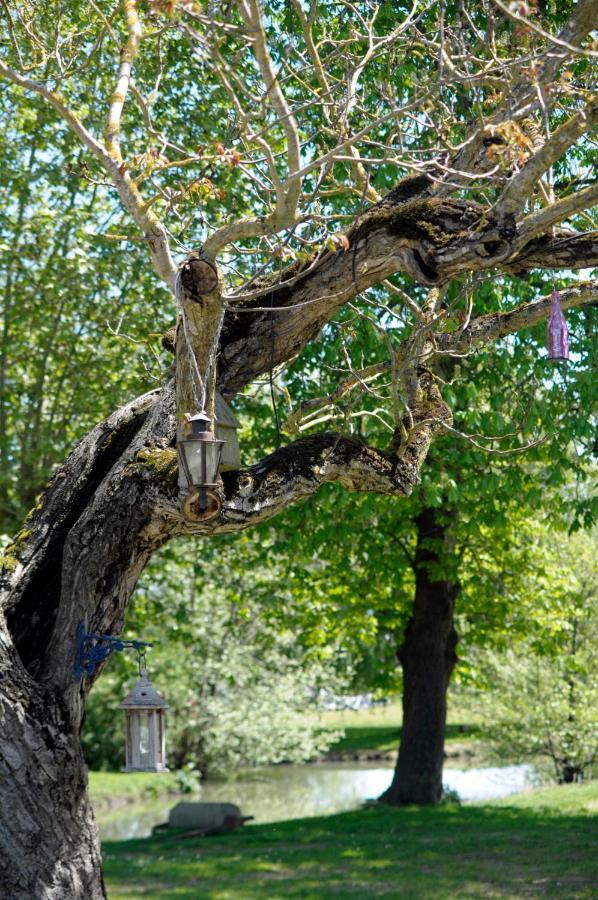 Domaine Ramonjavel, Glamping & Alpaca'S Bed & Breakfast Fongrave Exterior photo