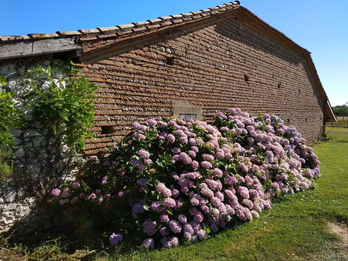Domaine Ramonjavel, Glamping & Alpaca'S Bed & Breakfast Fongrave Exterior photo